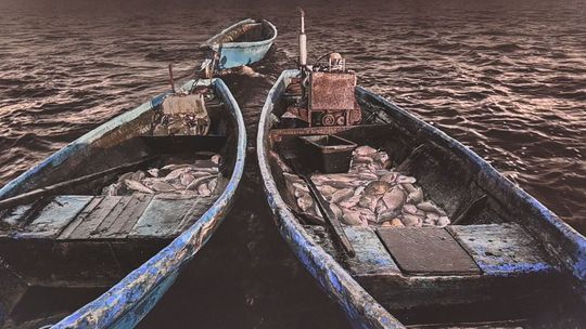 Rybacy na Jeziorze Łebsko