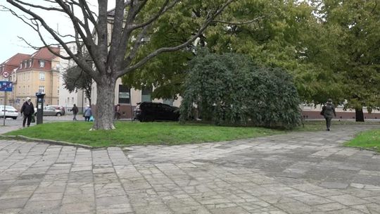 Samochody za byłym kinem