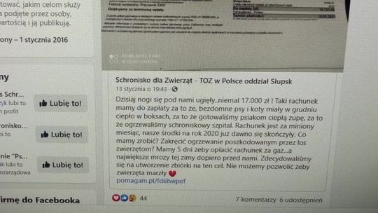 Schronisko do poprawek