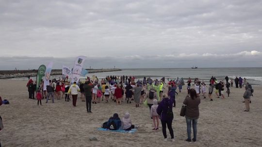 Sezon morsowy wystartował