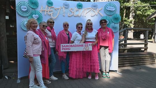 piknik organizacji pozarządowych w leśnym kocie