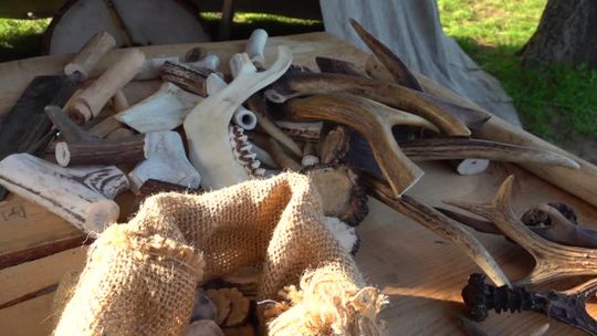 Słowiańskie grody na Ziemi Słupskiej