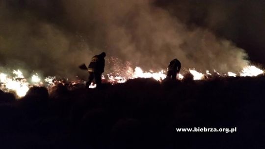 Słupscy strażacy gaszą pożar w Biebrzańskim Parku Narodowym