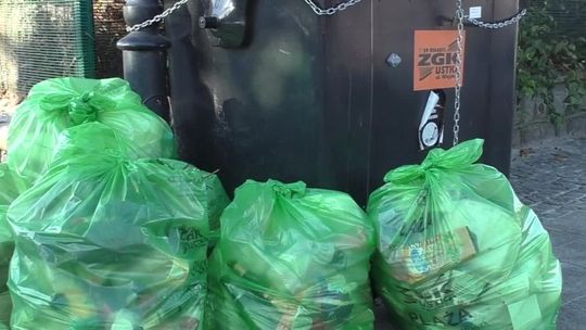 Śmieci dla przedsiębiorców indywidualnie