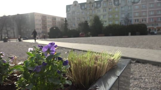 Stary Rynek dla pieszych, czy kierowców?