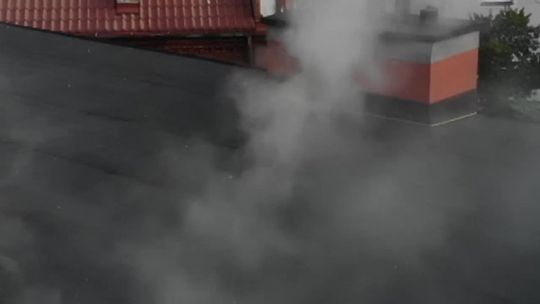 Stawiają na ekologię w Ustce