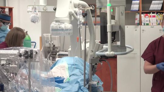 Święto białego personelu