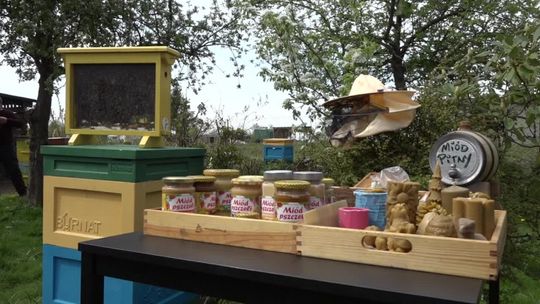 Święto pszczół
