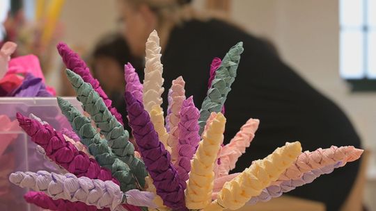 Sztuka tworzenia palm