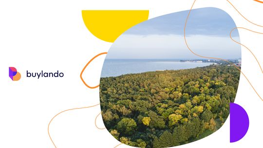 Szukasz działki nad morzem? Sprawdź najlepsze ogłoszenia