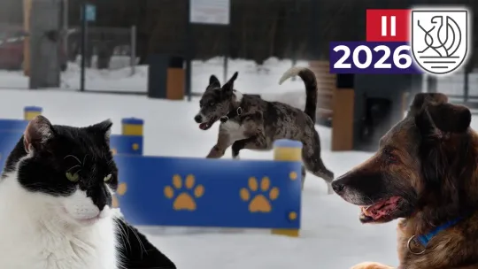 Tu zwierzęta odzyskują zaufanie do ludzi | Słupskie schronisko TOZ 🐕