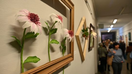 Twórczość amatorska