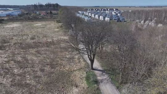 Ulica Szpilewskiego do przebudowy