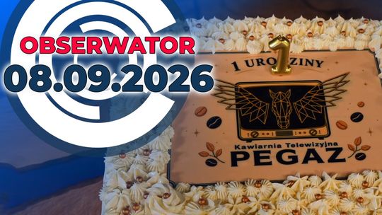 Urodziny Pegaza, Mieszkania wspomagane, Pałac w rękach gminy
