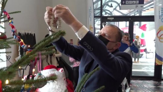 Ustczanie ubrali miejską choinkę