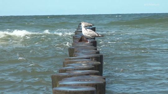 budżet obywatelski miasta ustka