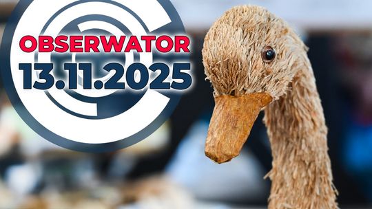 W służbie przyrody, ZUS świętuje, Pomorska gęsina