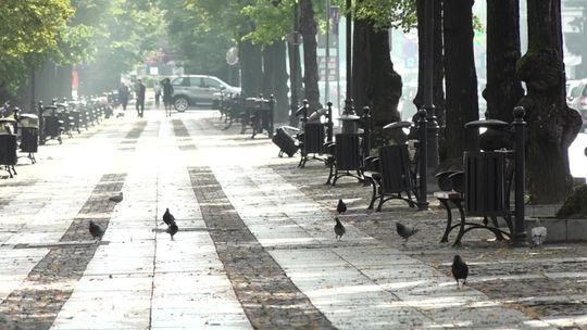 Wandale niszczą śmietniki