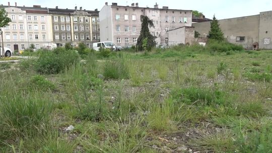 Więcej mieszkań komunalnych