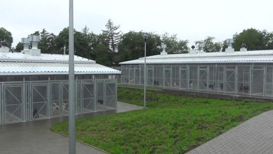 Więcej na schronisko