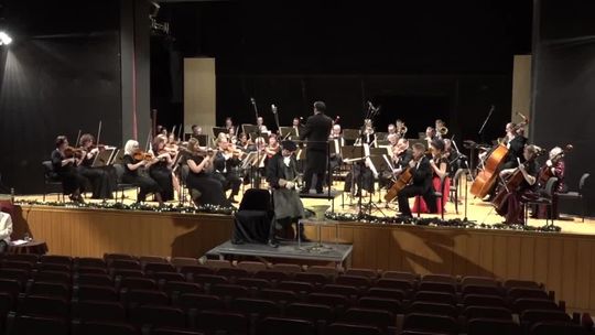 Wiedeński karnawał