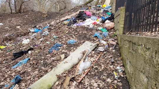 Wielu właścicieli i wielkie śmietnisko