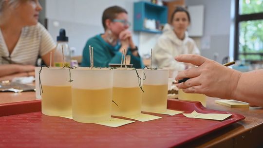 warsztaty wpleć się w tęczę