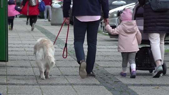 Wsparcie dla mieszkańców