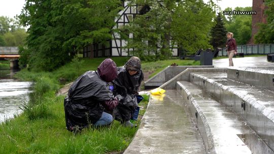 Wspólne sprzątanie