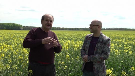 Z wizytą u pszczół