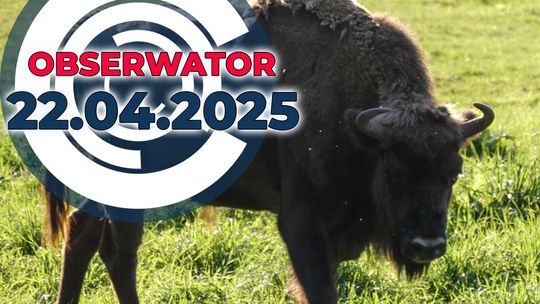 Zabił króla puszczy, Wielka siła dobroci, Rybacy z Łebska