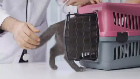 Zakończyć bezdomność