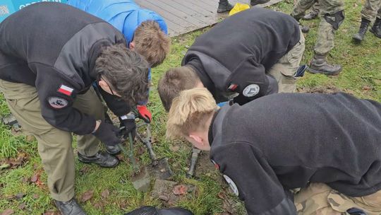 Zakwitną żonkile pamięci