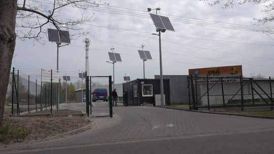 Zamień śmieci na kwiatka