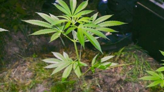 Zaskakujący zwrot akcji