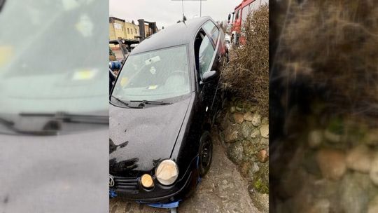 Zatrzymani za narkotyki