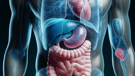 Zgłębniki żołądkowe dla diagnozy, czyli ważny element gastrologa