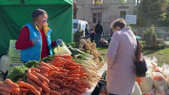 Ziemniak w roli głównej